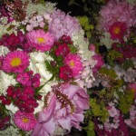 Fuschia wildflower bridesmaid bouquets.