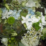Lime green and light blue bouquet with Stephanotis.