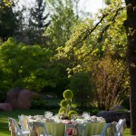 Anderson Gardens as a beautiful backdrop for a garden party.