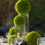 A modern grouping of cylinders filled with bear grass and orchids topped with rose balls.