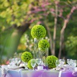 Flowering trees and shrubs add lovely color to accentuate the lime green rose ball centerpieces.