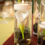 Single submerged Calla Lily