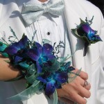 Blue Orchid Wristlet and Boutonniere